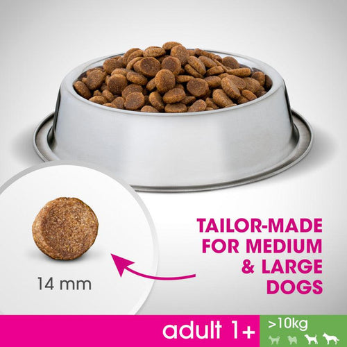 Perfect Fit Medium and Large Breed Adult 1+ Dry Dog Food Chicken - Get Set Pet