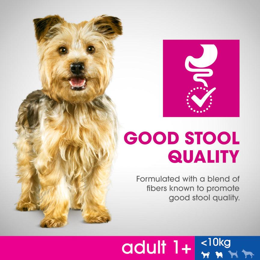 Perfect Fit Small Breed Adult 1 Dry Dog Food Chicken