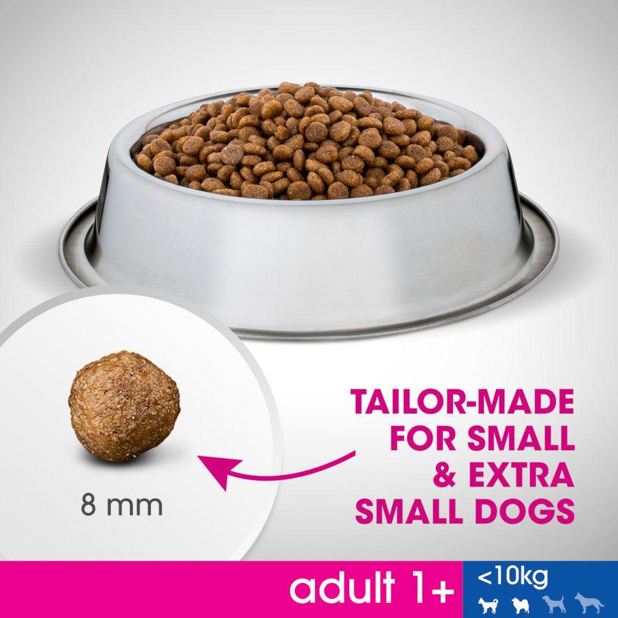Perfect fit small dog food shop