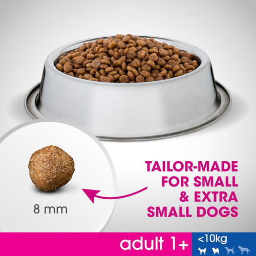 Perfect Fit Small Breed Adult 1+ Dry Dog Food Chicken - Get Set Pet