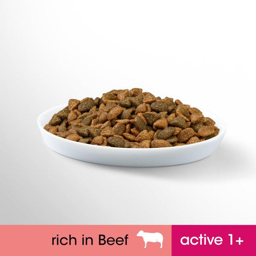 Perfect Fit Adult 1+ Dry Cat Food Beef - Get Set Pet