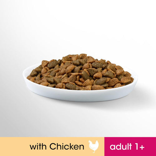 Perfect Fit Adult 1+ Dry Cat Food Chicken - Get Set Pet