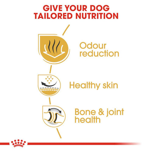 Royal Canin Breed Health Nutrition Bulldog Adult Dog Food - Get Set Pet