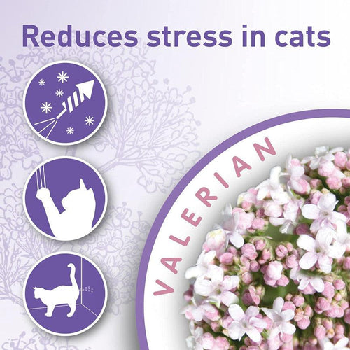 Beaphar Calming Cat Collar - Get Set Pet