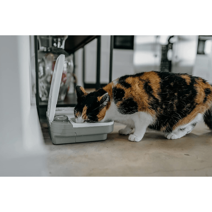 Cat feeder hotsell with ice pack