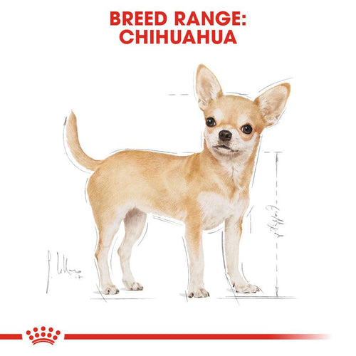 Royal Canin Breed Health Nutrition Chihuahua Adult Dog Food - Get Set Pet