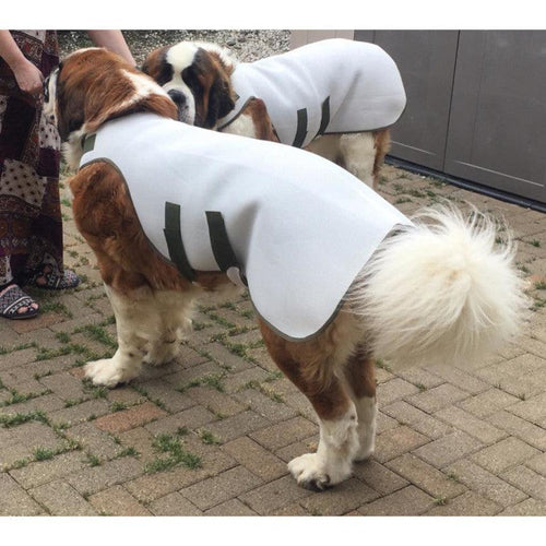 Dog Cooling Coat by Get Set Pet - Get Set Pet