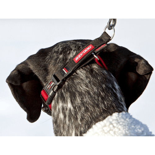 Ezydog CheckMate Dog Collar - Get Set Pet