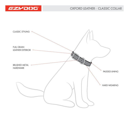 Ezydog Oxford Leather Dog Collar - Get Set Pet