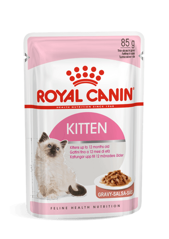 Wet Kitten Food
