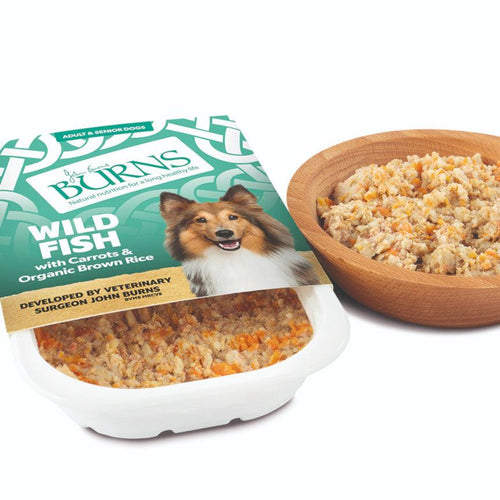 Burns Adult & Senior Wet Dog Food Trays Fish with Carrots & Brown Rice - Get Set Pet