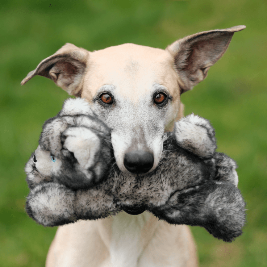 Fluff and sales tuff dog toys