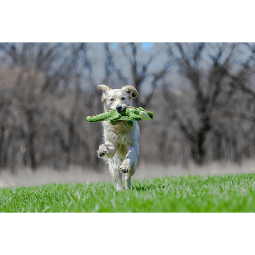 Fluff and Tuff Georgia Gator Dog Toy - Get Set Pet