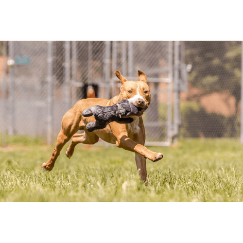 Fluff and Tuff Helga Hippo Dog Toy - Get Set Pet