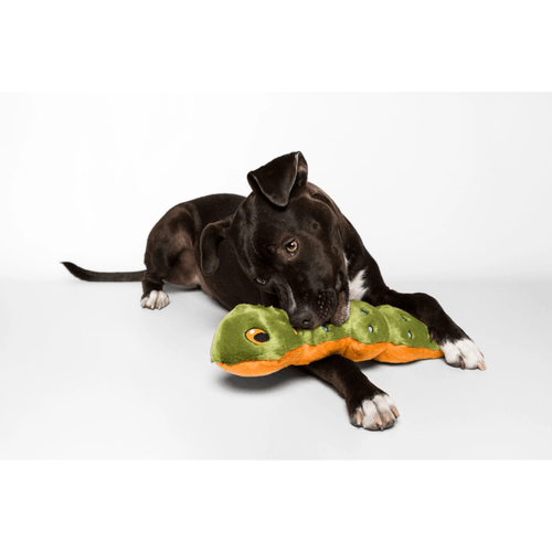 Fluff and Tuff Katie Caterpillar Dog Toy - Get Set Pet