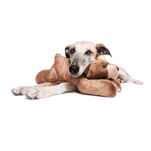 Fluff and Tuff Sadie Bear Dog Toy - Get Set Pet