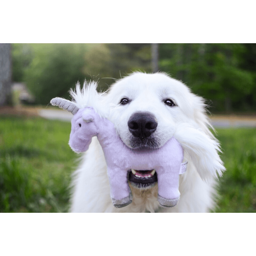 Fluff and tuff unicorn 2025