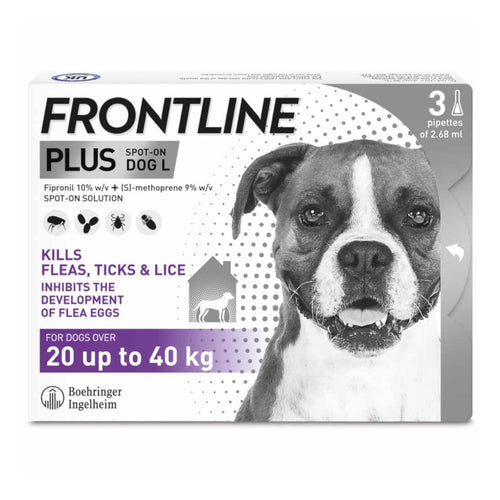 Frontline Plus Spot On Flea Treatment Large Dog