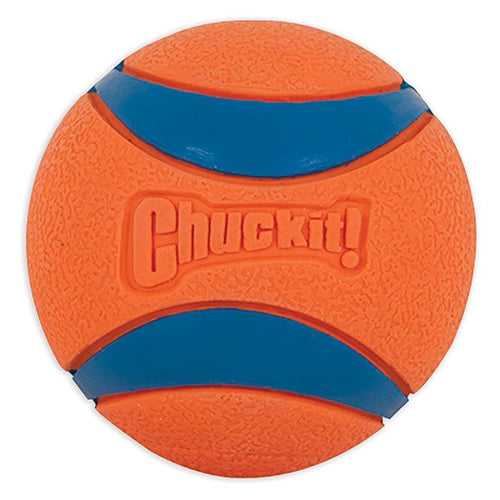 Chuckit Ultra Ball Fetch Ball Canister Dog Toy 4pk - Get Set Pet
