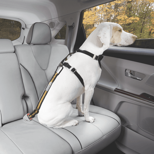 Kurgo Direct to Seatbelt Dog Tether - Get Set Pet