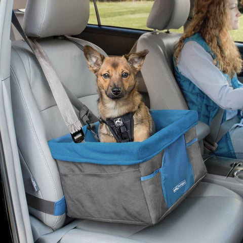 Dog Carriers & Travel