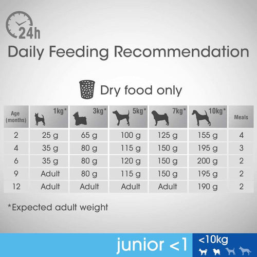 Perfect Fit Small Breed Junior Dry Dog Food Chicken - Get Set Pet
