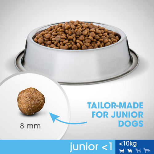 Perfect Fit Small Breed Junior Dry Dog Food Chicken - Get Set Pet