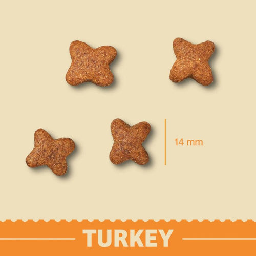 James Wellbeloved Grain Free Adult Dry Dog Food Turkey & Veg 10kg - Get Set Pet
