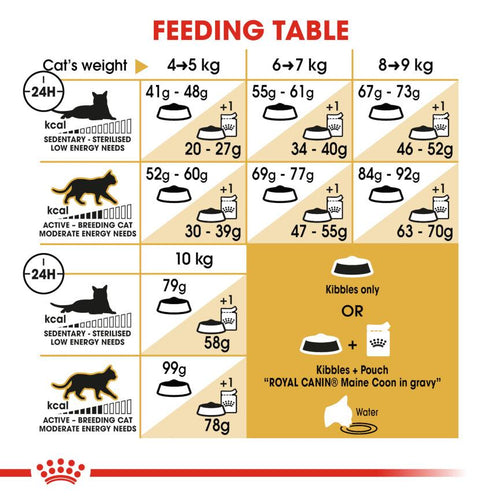 Royal Canin Feline Breed Nutrition Maine Coon Adult Cat Food - Get Set Pet