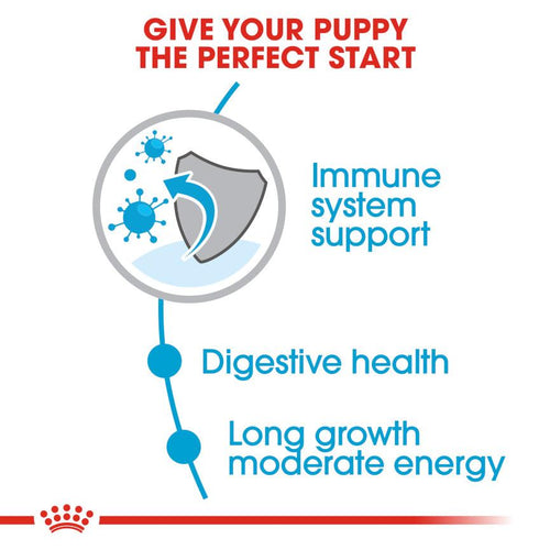 Royal Canin Size Health Nutrition Maxi Puppy Food - Get Set Pet