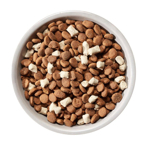 Natures Variety Meat Boost Adult Dog Food Salmon - Get Set Pet