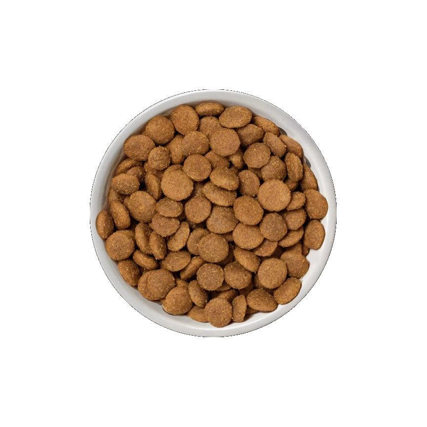 Natures Variety Selected Medium Adult Dog Food Salmon 2kg
