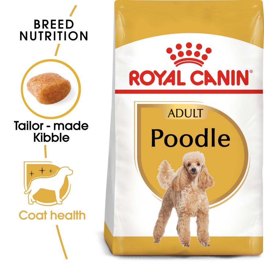 Royal on sale canin point