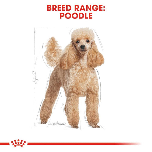 Royal Canin Breed Health Nutrition Poodle Adult Dog Food 7.5kg - Get Set Pet