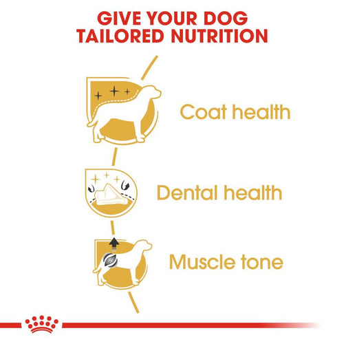 Royal Canin Breed Health Nutrition Poodle Adult Dog Food 7.5kg - Get Set Pet