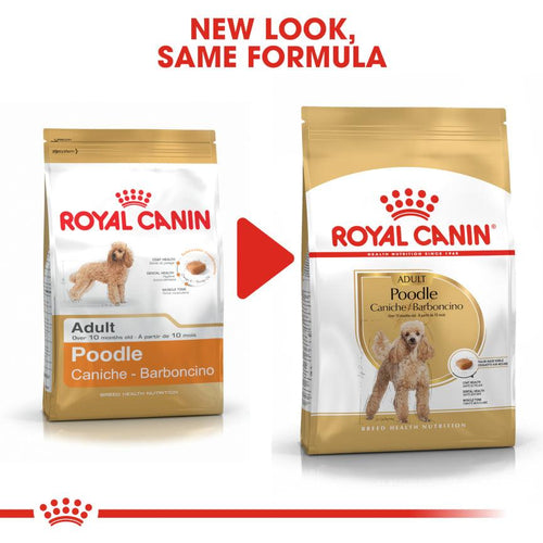 Royal Canin Breed Health Nutrition Poodle Adult Dog Food 7.5kg - Get Set Pet