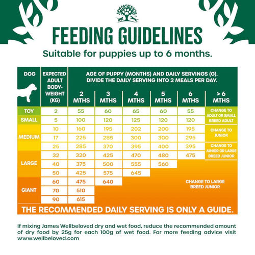 James Wellbeloved Dry Puppy Food Chicken & Rice 15kg - Get Set Pet