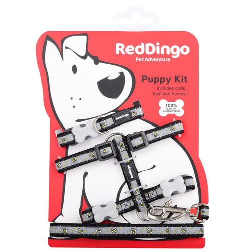 Red Dingo Puppy Kit Collar, Lead and Harness Set - Get Set Pet