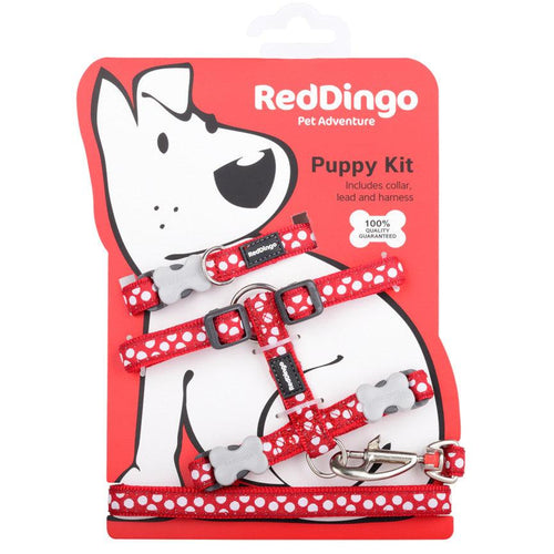Red Dingo Puppy Kit Collar, Lead and Harness Set - Get Set Pet