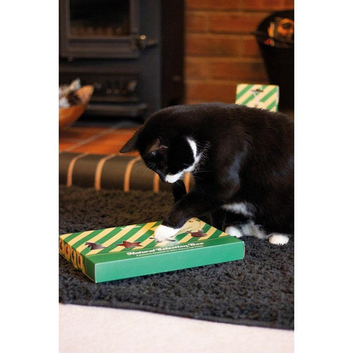 Rosewood Christmas Cupid & Comet Natural Cat Treat Selection Box - Get Set Pet