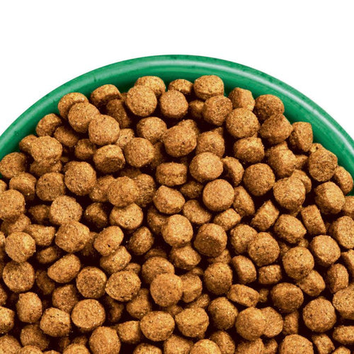 James Wellbeloved Senior Dry Dog Food Chicken & Rice 15kg - Get Set Pet