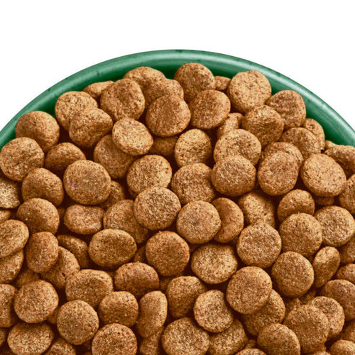 James Wellbeloved Grain Free Senior Dog Food Fish & Veg 10kg - Get Set Pet
