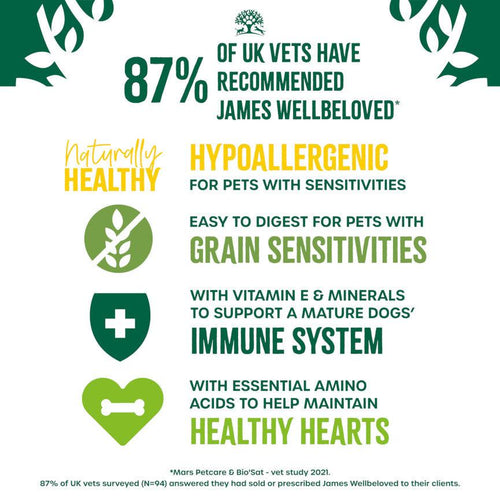 James Wellbeloved Grain Free Senior Dog Food Fish & Veg 10kg - Get Set Pet