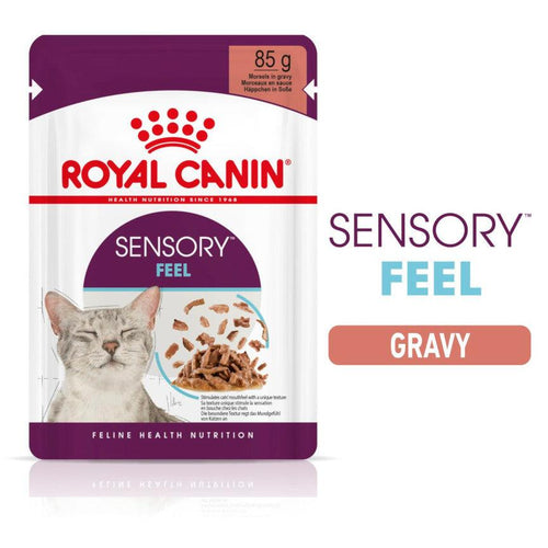 Royal Canin Feline Health Nutrition Sensory Feel Adult Cat Food in Gravy 12x85g - Get Set Pet