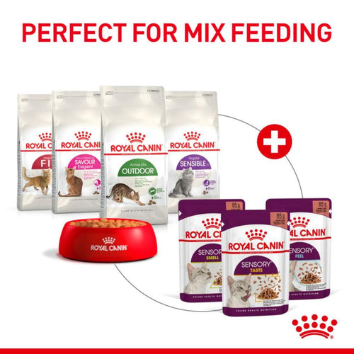 Royal Canin Feline Health Nutrition Sensory Feel Adult Cat Food in Gravy 12x85g - Get Set Pet