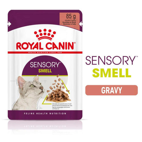 Royal Canin Feline Health Nutrition Sensory Smell Adult Cat Food in Gravy 12x85g - Get Set Pet