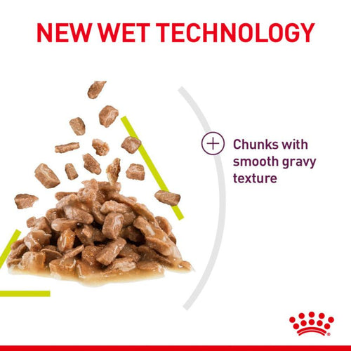 Royal Canin Feline Health Nutrition Sensory Smell Adult Cat Food in Gravy 12x85g - Get Set Pet