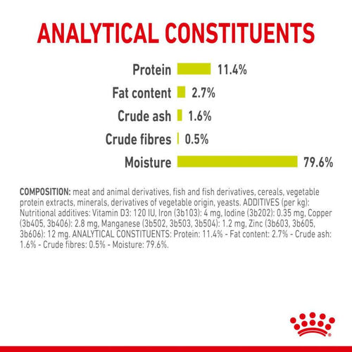 Royal Canin Feline Health Nutrition Sensory Smell Adult Cat Food in Gravy 12x85g - Get Set Pet