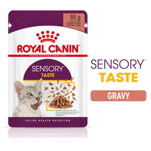Royal Canin Feline Health Nutrition Sensory Taste Adult Cat Food in Gravy 12x85g - Get Set Pet