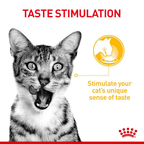 Royal Canin Feline Health Nutrition Sensory Taste Adult Cat Food in Gravy 12x85g - Get Set Pet